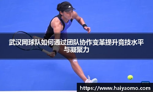 武汉网球队如何通过团队协作变革提升竞技水平与凝聚力